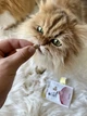 Вітаміни та добавки GimCat Every Day Malt Tabs Вітаміни для котів 40 г (1111161838) - зображення 2