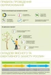Протравитель Максим 10 мл Syngenta - изображение 8