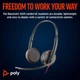 Наушники Poly Wire C3225 USB-C HS Stereo +3.5mm Plug +USB-C/A Adapter (Bulk) (8X229A6)[77095] - изображение 2