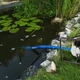 Шланг плоский AQUA-FLAT, PE/EVA, в комплекте с хомутом W.P.1, 1 1/4", 20м, WAQF1B114020 - изображение 6