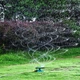 Умная система полива автоматический для газонов на 360 градусов Lawn Sprinkler - изображение 5
