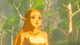 The Legend of Zelda Breath of the Wild (Switch, русская версия) Б/У - изображение 4