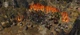 Spellforce III Reforced (PS4) - зображення 2