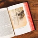 THE LORD OF THE RINGS - Single volume illustrated edition - J. R. R. Tolkien - 9780008471286 - изображение 4
