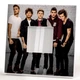 Декоративное зеркало "Группа One Direction" подарок для фанатов поп-музыки, музыкантов, декор в бар, клуб - изображение 2
