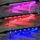 Фитолампа для растений двойная 10Вт, настольная светодиодная LED лампа на 2 ветки для подсветки рассады, комнатных и тепличных растений с таймером, клипсой-зажимом и USB питанием, синий, красный, фиолетовый свет Черная LP-417 - изображение 3