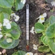 Термометр садовника для грунта -40+40°C высота 17.6см (СП 300131) - изображение 2