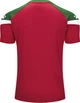 Футболка Kelme BRAVO красно-зеленая L 7351TX1092.6013 - изображение 2