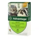 Капли Advantage-40 от блох для кошек и кроликов, 4 пипетки - изображение 1