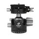 Шаровая головка Leofoto LH-36PCL+NP-50 Черный - изображение 1