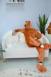 Пижама Кигуруми My Kigu Мужская Бурый Медведь Коричневый размер S 144-155 см (21083411) - изображение 6