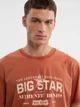 Футболка хлопковая мужская Big Star Enifer 704 S Оранжевая (5900714784607) - изображение 5