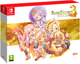 Gra Nintendo Switch Rune Factory 3 Special Limited Edition (Kartridż) (5060540771490) - obraz 1