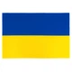 Флаг Vinga Украина, государсвенный, 90*140см (VFUSDB140G) - изображение 1