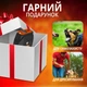 Ультразвуковой профессиональный отпугиватель дрессировщик собак с фонариком, лазером и функцией дрессировки на аккумуляторе (черный) - изображение 7