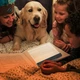Светодиодный светильник лампа для чтения книг Book Lamp 17 см 550 - изображение 2