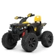 Дитячий електроквадроцикл Bambi Racer M 4795EBLR-6 до 30 кг - зображення 1