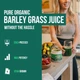 Порошок соку трави ячменю преміум-класу Triquetra Health Organic Barley Grass Juice 150 г - зображення 2