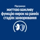 Hill’s Prescription Diet k/d Early Stage Сухий корм для котів для підтримання функції нирок на ранній стадії захворювання, 1,5 кг - зображення 6