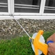 Рулетка S&R Fiberglass Tape 50 м х 13 мм (422950013) - зображення 2