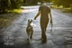 Ультралегкий ошейник контроллер рывковая удавка для собак Good Dog черный - изображение 7