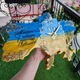 Настінний годинник "Вчителям" 40X25 см. - изображение 2