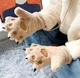Рукавиці теплі хутряні "Котячі Лапки" Бежевий, Унісекс WUKE One size - зображення 2