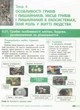 Біологія, 7 кл. НУШ, Підручник - Тагліна О. В. - РАНОК (125452) - изображение 6