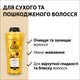 Шампунь Gliss Oil Nutritive для сухих и поврежденных волос 250 мл (9000100398381/9000100398435) - изображение 4