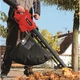 Пылесос садовый Einhell GC-EL 3024 E 3000Вт, 3в1, 240км/час, 650куб/час, 40л (3433370) - изображение 2