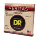 Струны для гитары DR Strings VERITAS Coated Core Acoustic Guitar Strings - Extra Light (10-48) (VTA-10) - изображение 2