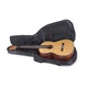 Чехол для гитары RockBag Student Line - Classical Guitar Gig Bag (RB 20518 B) - изображение 3