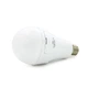 Лампочка Y3920 з акумуляторами 2*18650, 20W, E27, Box - зображення 1