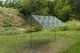 Тент SKIF Outdoor Shield 300x300 см Camo (3890399) - изображение 3