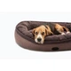 Диван для собак Harley and Cho Donut Soft Touch Brown L 100 х 70 х 21 см - зображення 3