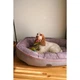 Лежак для собак Harley and Cho Donut Soft Touch Pink L 90 х 70 см - изображение 4