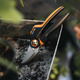 Площинний секатор Fiskars X-series P961 L (6411501111234) - зображення 4