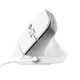 Мишка Trust Bayo II Ergonomic USB White (25397) - зображення 3