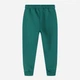 Детские теплые спортивные штаны-джоггеры для девочки Minoti 20fleece47 41396JNR 98-104 см Зеленые (5063025363913) - изображение 4