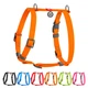 Шлейка для собак M (средних пород) WAUDOG Waterproof – оранжевый, водостойкая анатомическая H-образная, Collartex, пластиковая пряжка-фастекс, QR-паспорт, лента 20 мм, обхват шеи 40–66 см, груди 50–80 см, арт. 32814 - изображение 1