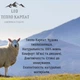 Набор мужских носков высоких шерстяных Лео Medical Тепло Карпат Шерсть 40-46 6 пар Ассорти (ROZ6501001016) - изображение 10