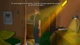 Ключ активации Scott Whiskers in: the Search for Mr. Fumbleclaw для Xbox One/Series S/X - изображение 2