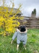 Вітровка для собак WAUDOG Clothes, світловідбивна, розмір XS30 (5419) - зображення 9
