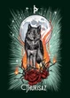 Карты Оракул Рунический Знакомая Ведьма - The Witch's Familiar Runic Oracle - изображение 2