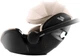 Автокресло Britax-Romer Baby-Safe Pro Style Teak (2000040841) - изображение 5