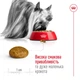 Корм Royal Canin XSmall Adult сухой для взрослых собак мелких пород 3 кг - изображение 4