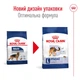Корм Royal Canin Maxi Adult сухой для взрослых собак крупных пород 15 кг - изображение 6