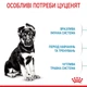 Корм Royal Canin Maxi Puppy сухой для щенят крупных пород 15 кг - изображение 3