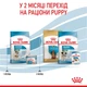 Корм Royal Canin Mini Starter сухой для щенков и беременных и кормящих собак 1 кг - изображение 7