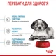 Корм Royal Canin Medium Puppy сухой для щенят средних пород 1 кг - изображение 4